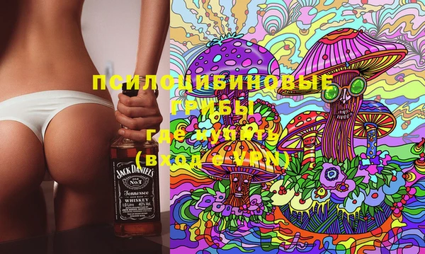 мдпв Покачи