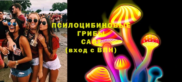 ECSTASY Покров