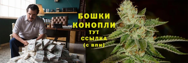 мдпв Покачи