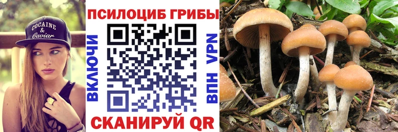 Галлюциногенные грибы Psilocybine cubensis  где купить наркоту  Шарыпово 